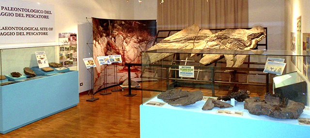 Sala-Tethyshadros-insularis