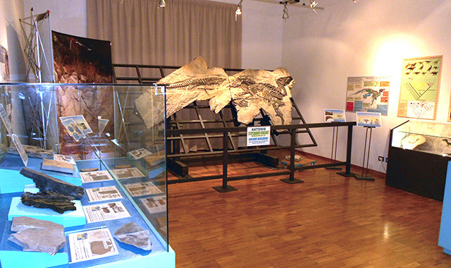 Sala-Tethyshadros-insularis1