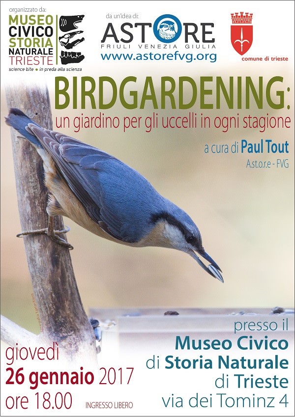 Birdgardening_TS_2017