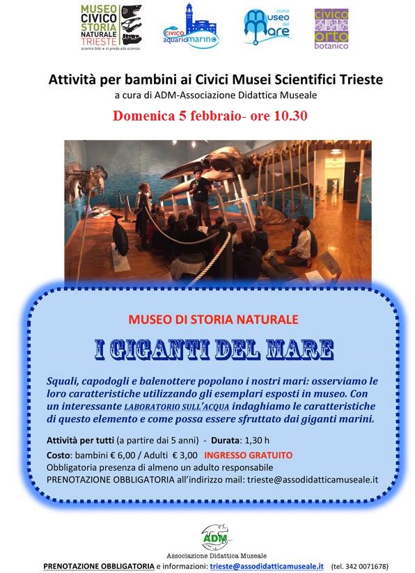 5 febbraio giganti del mare