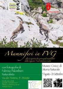 Trieste-Museo-FotoAnimaliFVG