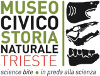 logo DEFINITIVO copia5